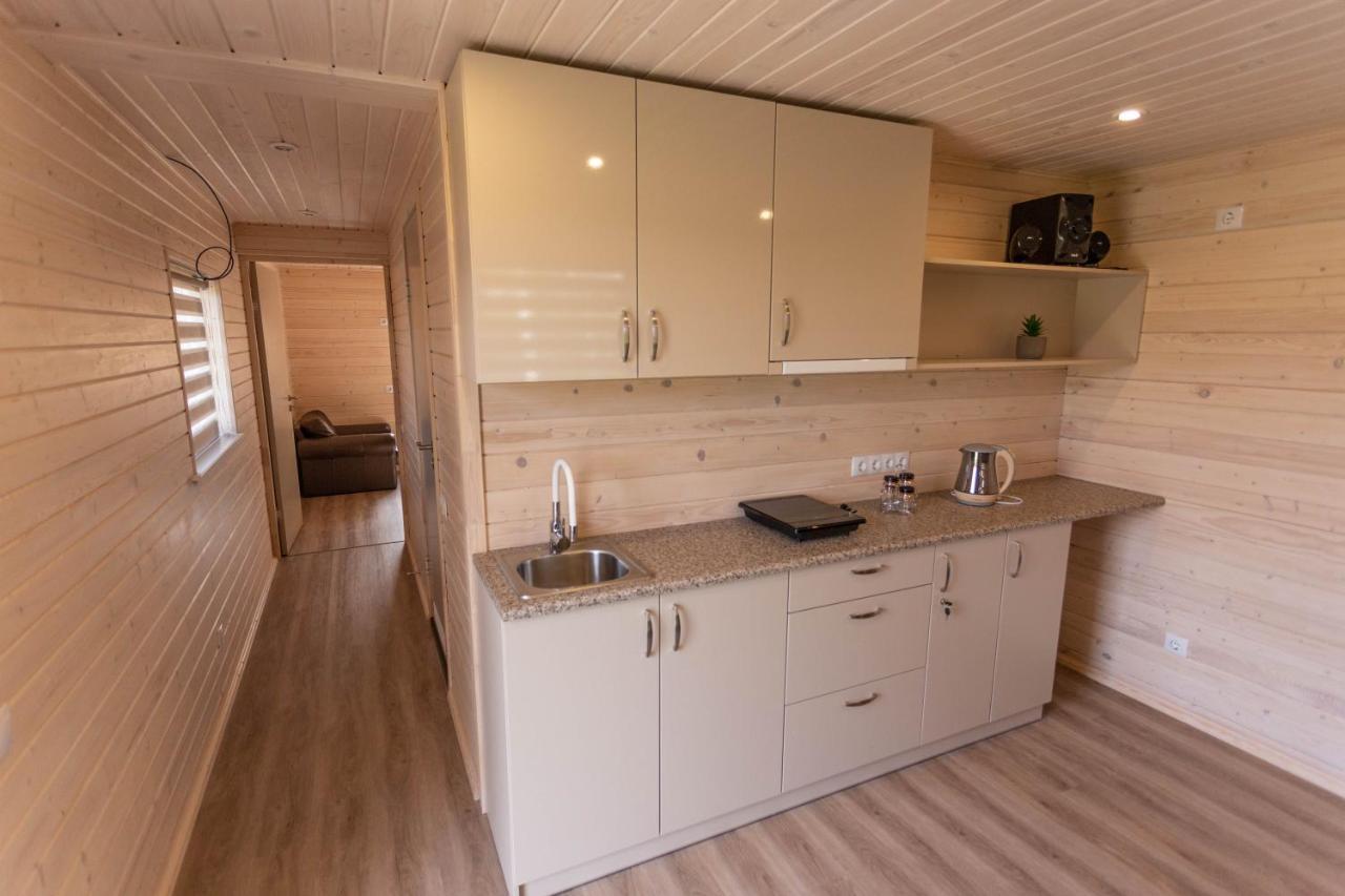 Brivdienu Maja-Lauvas Licis Rujiena Bagian luar foto